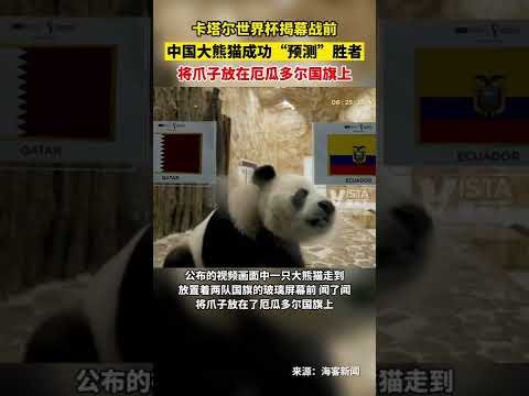 美国俄勒冈,喀斯喀特山,雪崩夺去两,爱游戏app,爱游戏官网,爱游戏体育官网,爱游戏体育app