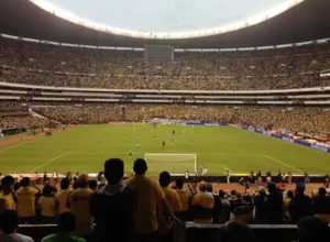 Raw,蓝途王子,全手工打造,爱游戏app,爱游戏官网,爱游戏体育官网,爱游戏体育app