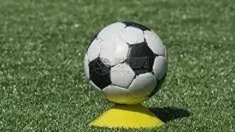 财政部强化提案办理成效，持续深化财会监督，显著提高监督力度